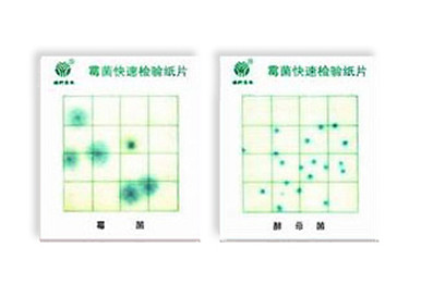 霉菌、酵母菌測試片